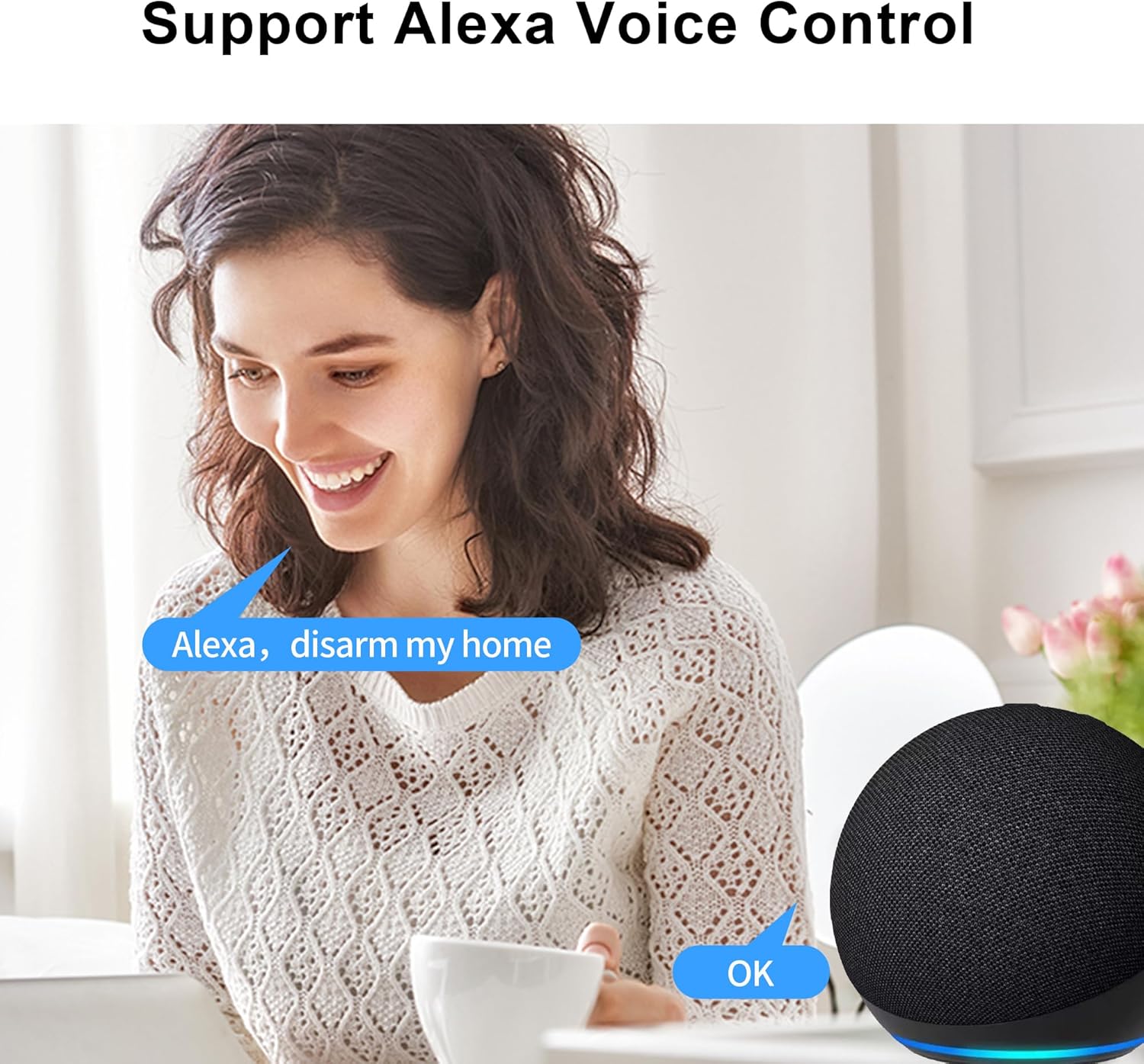 allarme casa Allarme casa wireless WiFi/GSM compatibile Alexa e Google Home immagine 2